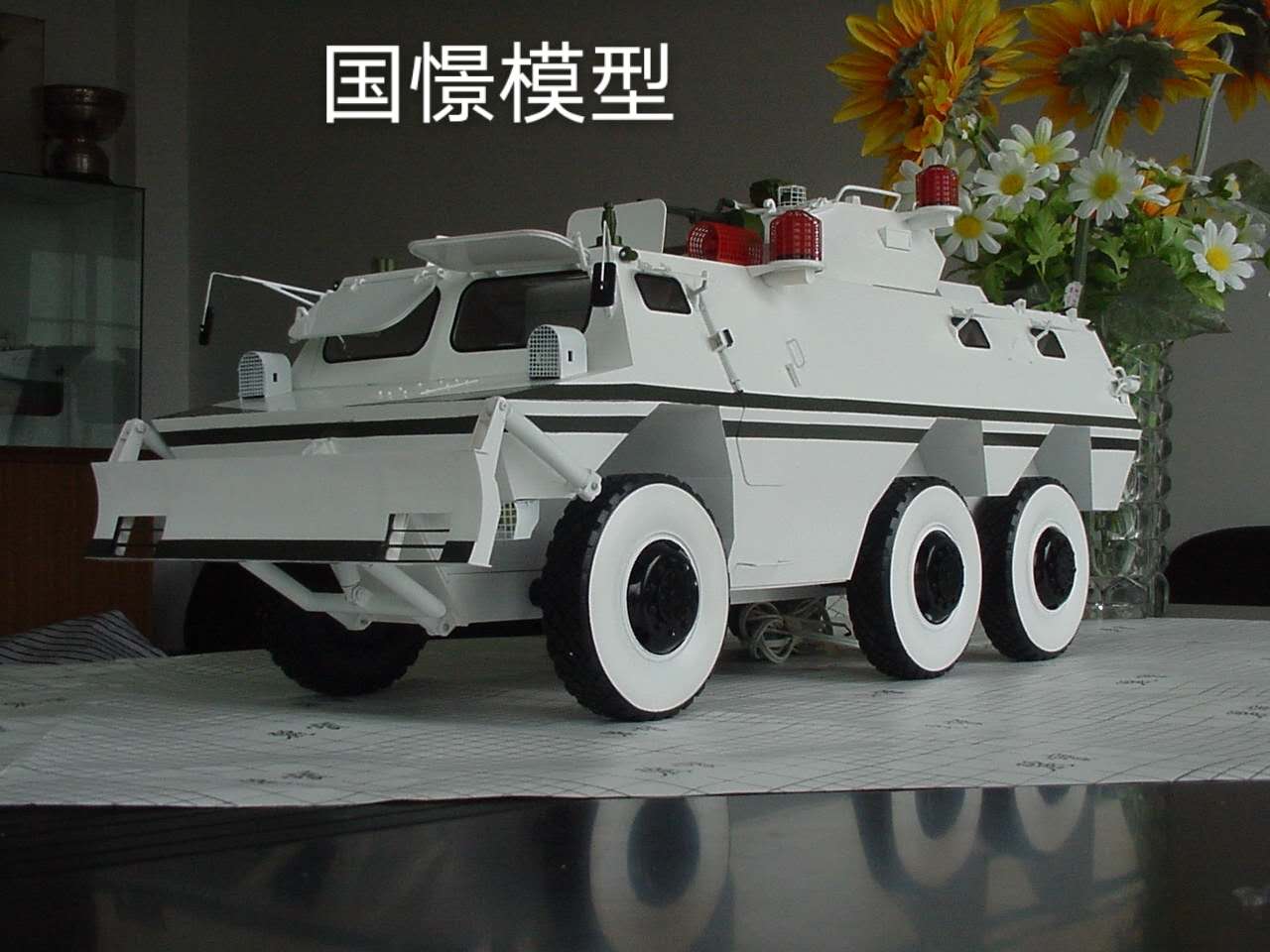 宜川县军事模型